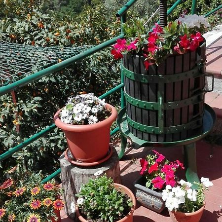 فيلا Casa Ofelia ليفانتو المظهر الخارجي الصورة